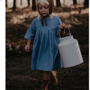 EUC worn once TSF denim dress